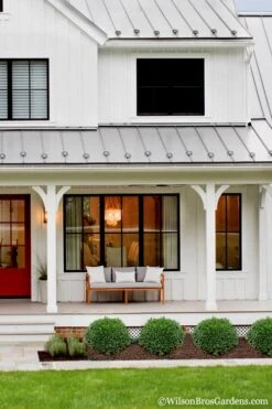 Korean Dwarf Boxwood - Buxus Sinica Var. Insularis 'Nana' - 6 Pack Of 1 Gallon Pots 9 Korean Dwarf Boxwood - Buxus Sinica Var. Insularis 'Nana' - 6 Pack Of 1 Gallon Pots -Plant Series Shop Boxwood Korean Dwarf Insularis Nana 4