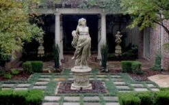 Dwarf Mondo Grass - 36 Pack Of 3.5" Pint Pots -Plant Series Shop Picture Mondo Grass Dwarf Pavers