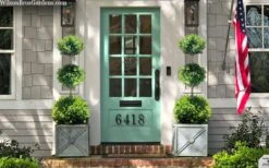 Green Mountain Boxwood 3-Ball Poodle Tier Topiary - 6 Gallon Pot 7 Green Mountain Boxwood 3-Ball Poodle Tier Topiary - 6 Gallon Pot -Plant Series Shop buxus green mountain 3 ball topiary 20