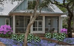 Snow Globe Gardenia - 1 Gallon Pot -Plant Series Shop gardenia jasminoides snow globe 2 1