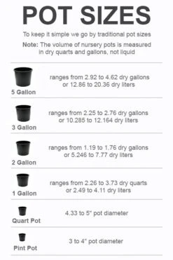 Plant Series Shop -Plant Series Shop pot size chart 2022 653